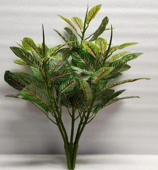 Small Plant Med. leaves